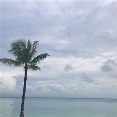 绝世刀侠官方版下载